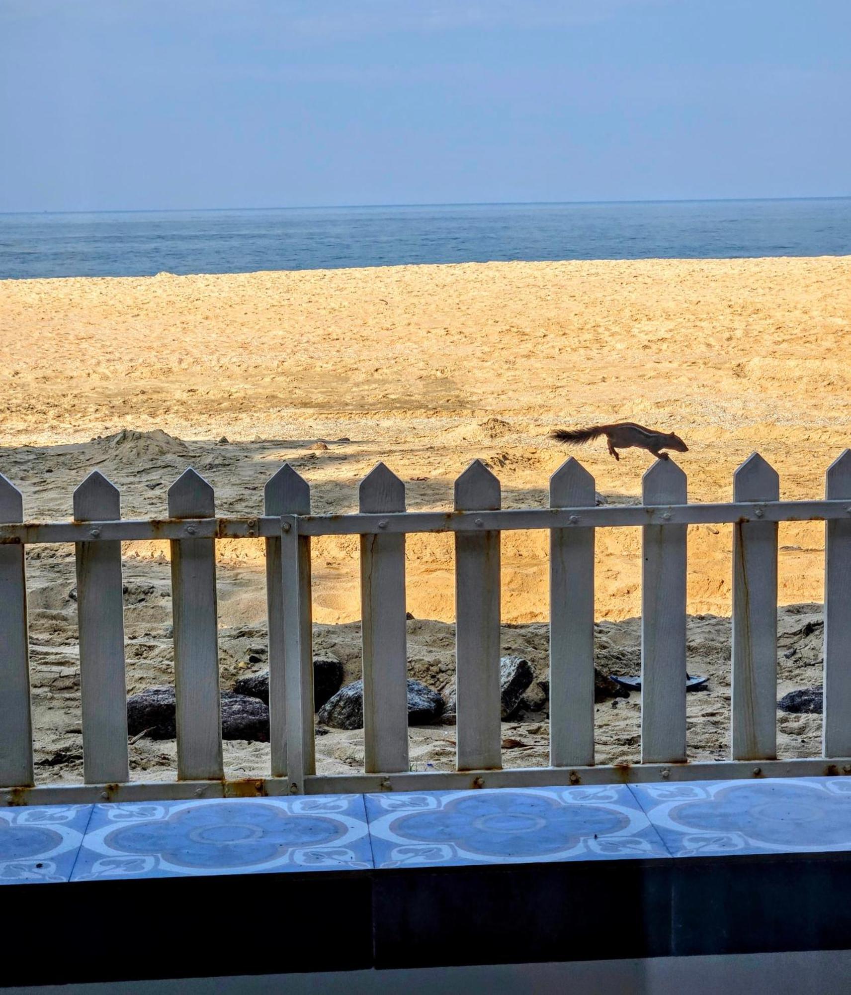 Ether Marari Beachfront Mararikulam Exteriér fotografie